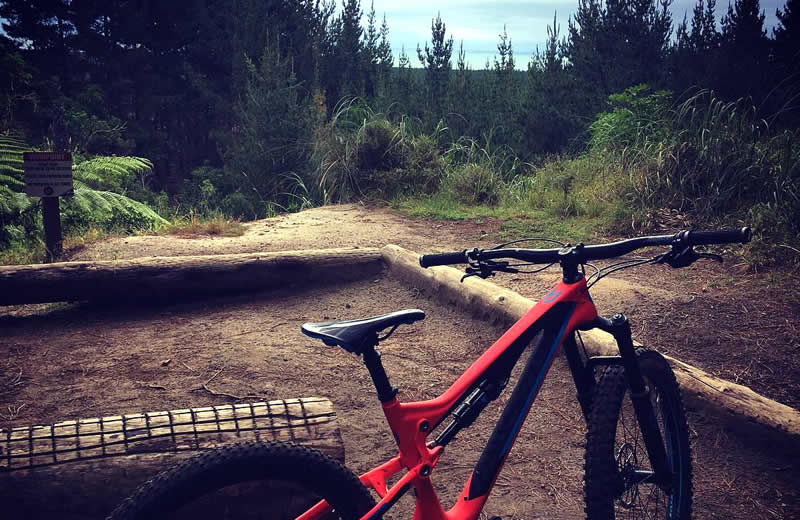 Mountain Biking