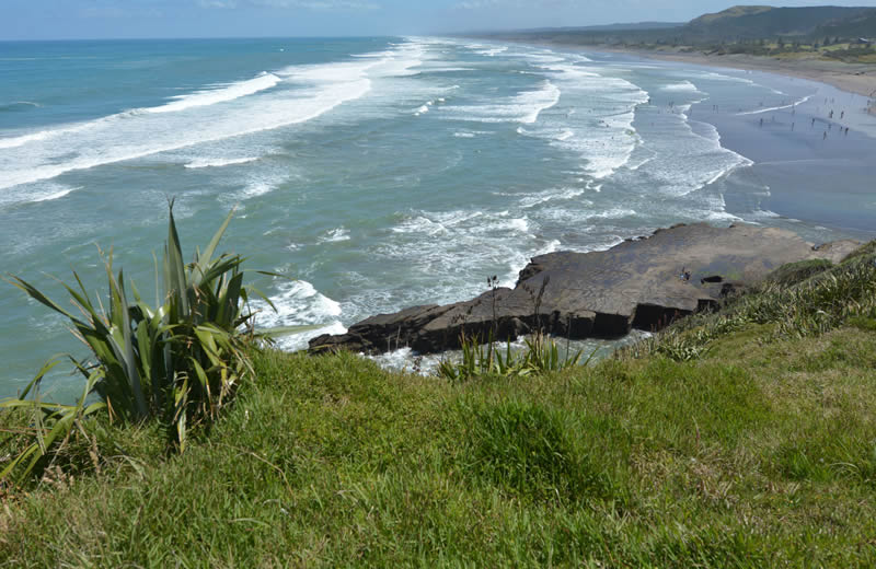Coastal and Bush Walks