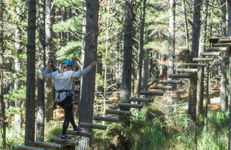 Tree Adventures